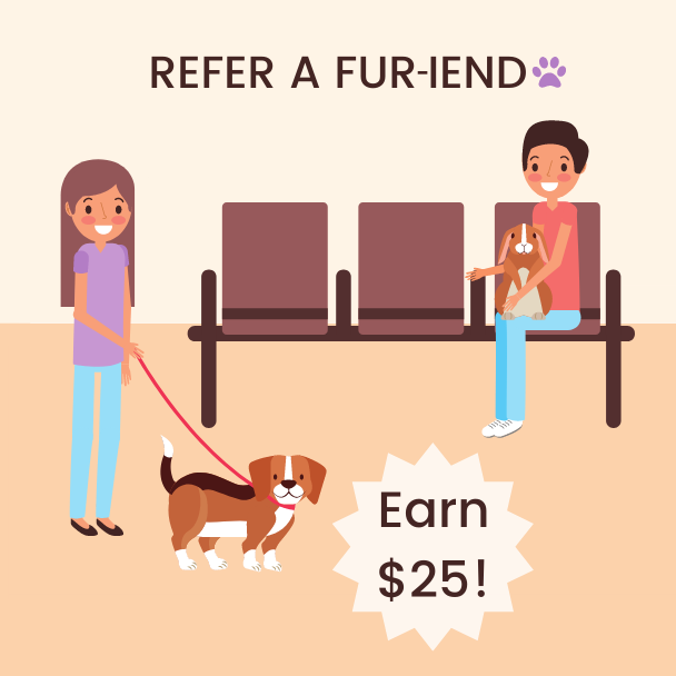 Fur-iends Referral Program Graphic