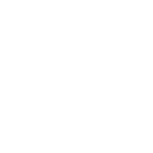 palm-tree-icon