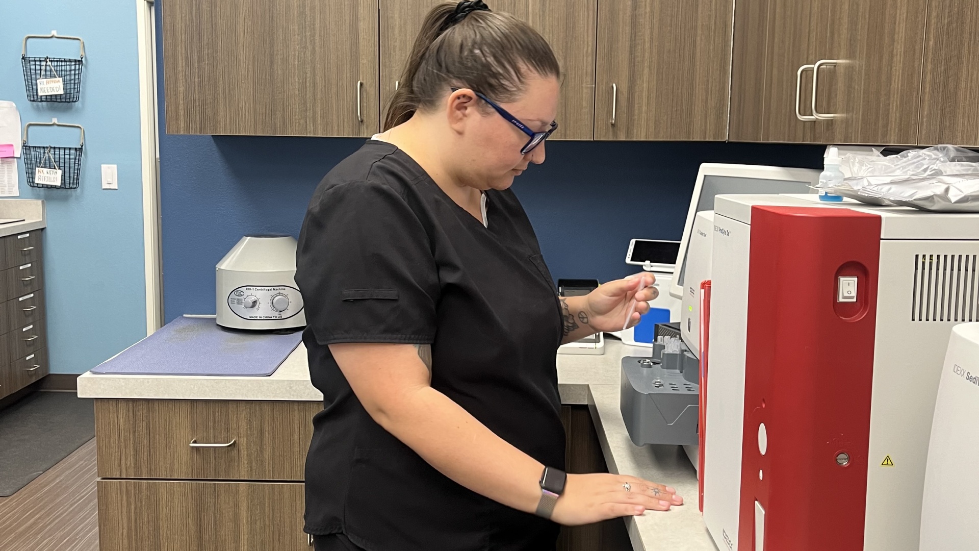 A veterinarian testing sample in lab