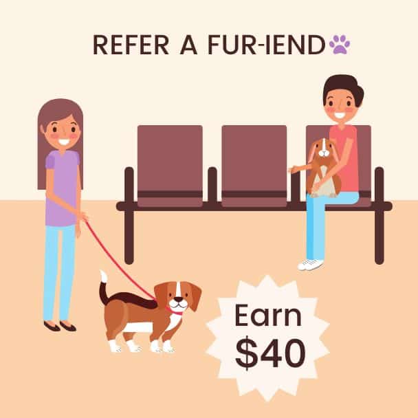 Fur-iends Referral Program Graphic